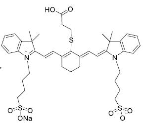 ˫ỨݼȾCyanine7-SO3H