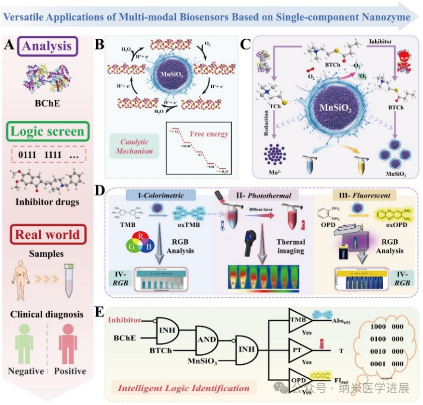 Anal. Chem. |���ڵ��������ø�����Ũ�������Ͷ�ģ̬���ﴫ��������BChE�ľ�׼�����ͼ����߼���·��̵����Ƽ�ɸѡ