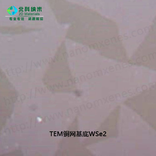 TEM铜网基底WSe2 -单层三角单晶晶粒