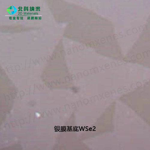 WSe2 on silver substrate
