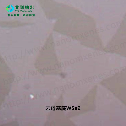 WSe2 on Mica substrate