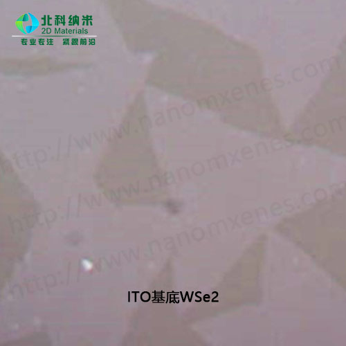 WSe2 based on ITO substrate