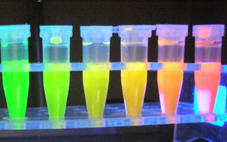 荧光量子点/羧基 氨基 氨基酸/0.05 umol/L,25mL