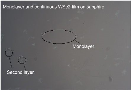 WSe2 based on FTO substrate