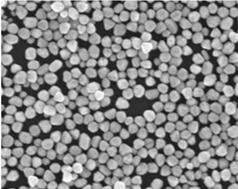 PEGylated silver nanoparticles