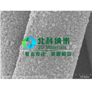 碳布负载碳纳米管/硫化钼薄膜