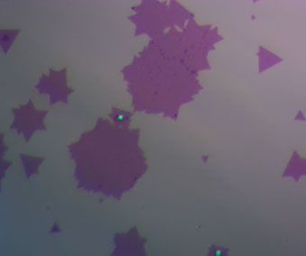 CVD 二硒化钼：MoSe2 孤立晶粒 连续薄膜
