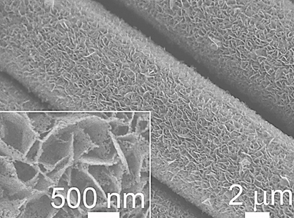 碳布负载氮掺杂碳纳米片阵列