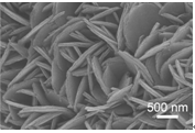 三维多孔镍/氮掺杂碳纳米片复合薄膜